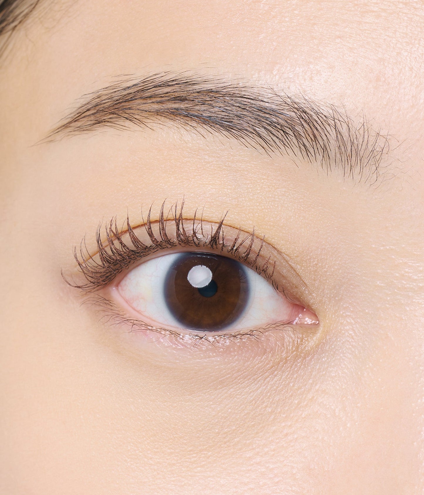 DIDION// Mascara 5色入