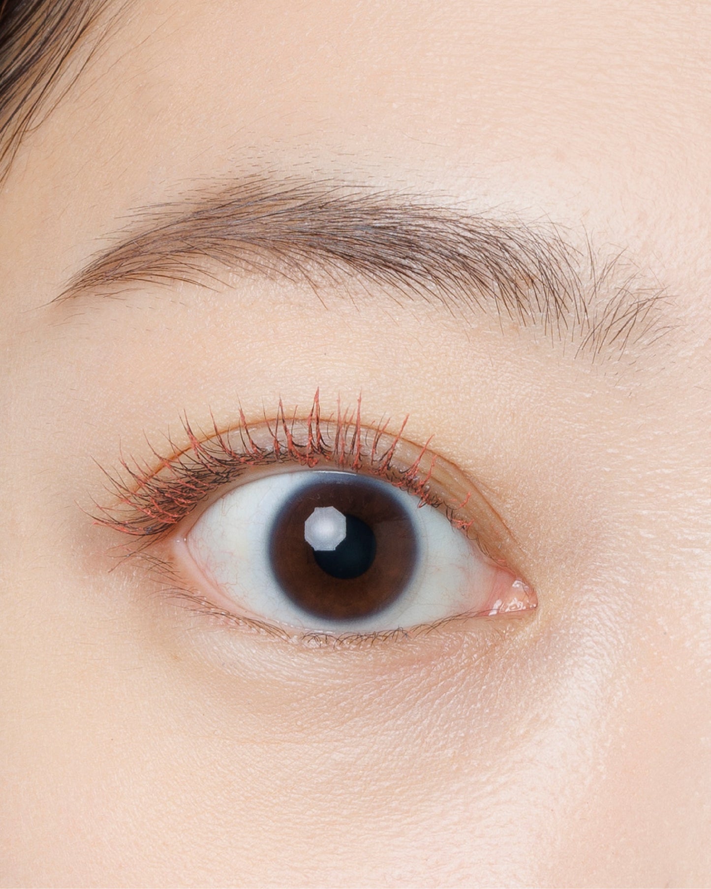 DIDION// Mascara 5色入