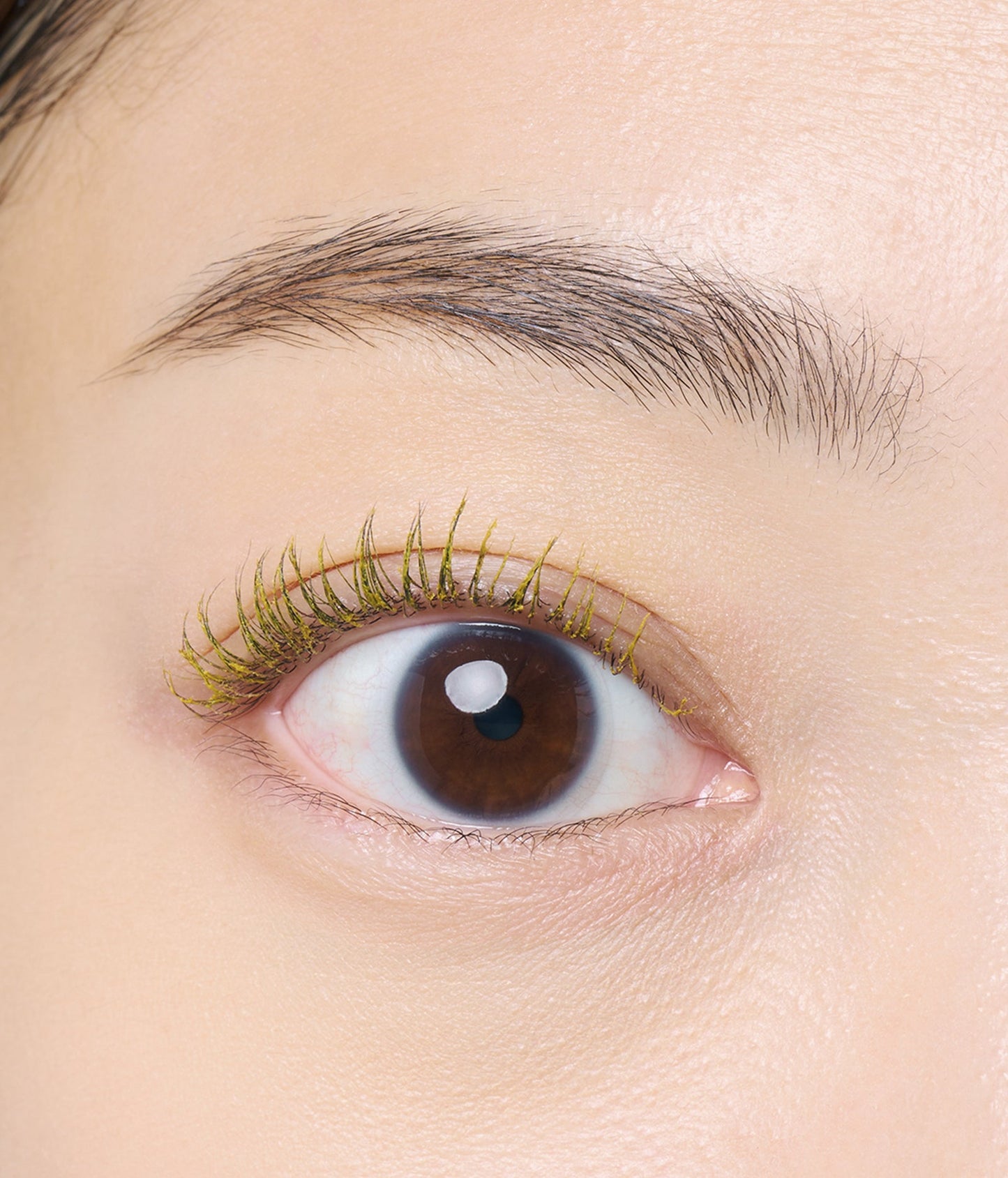 DIDION// Mascara 5色入