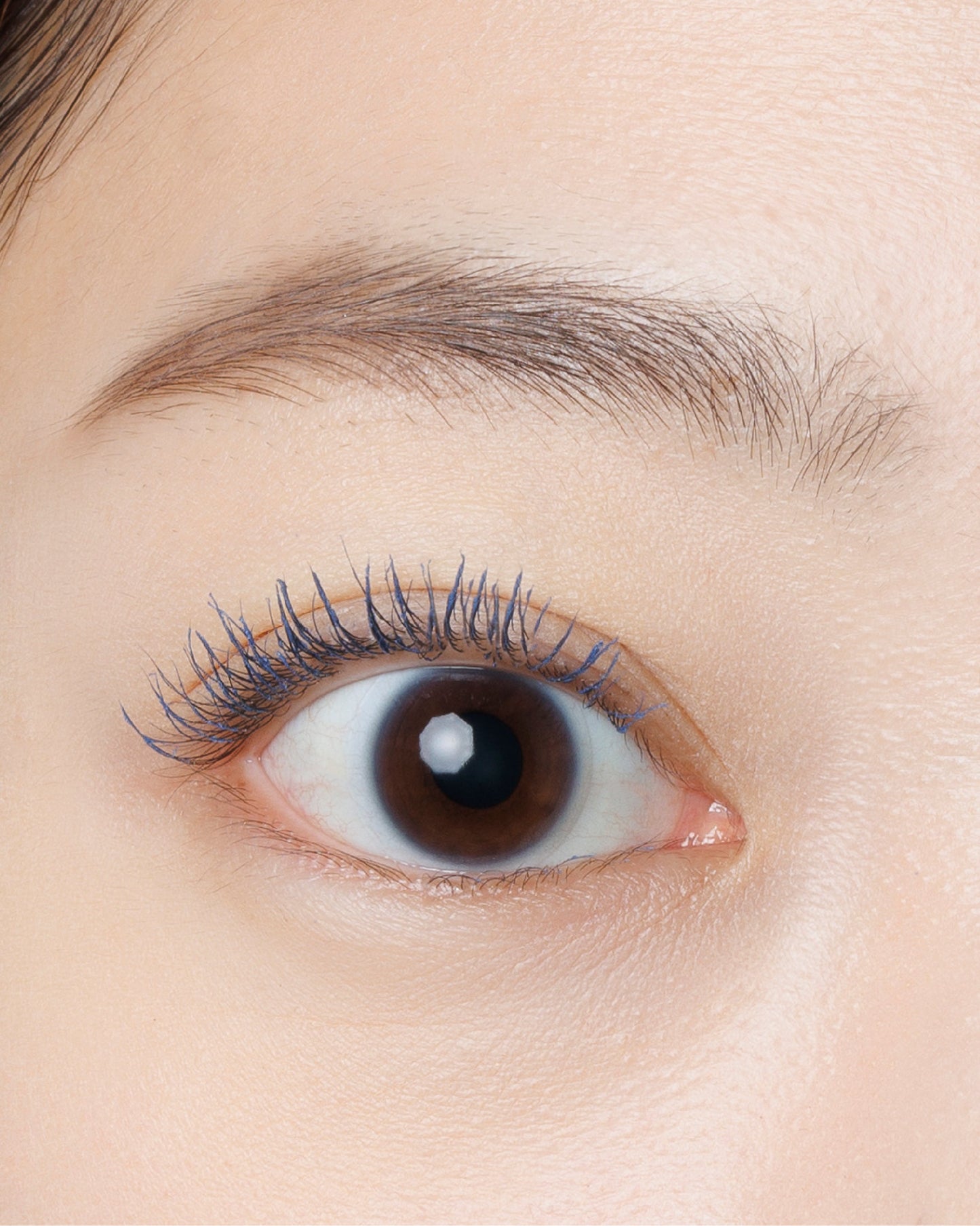 DIDION// Mascara 5色入