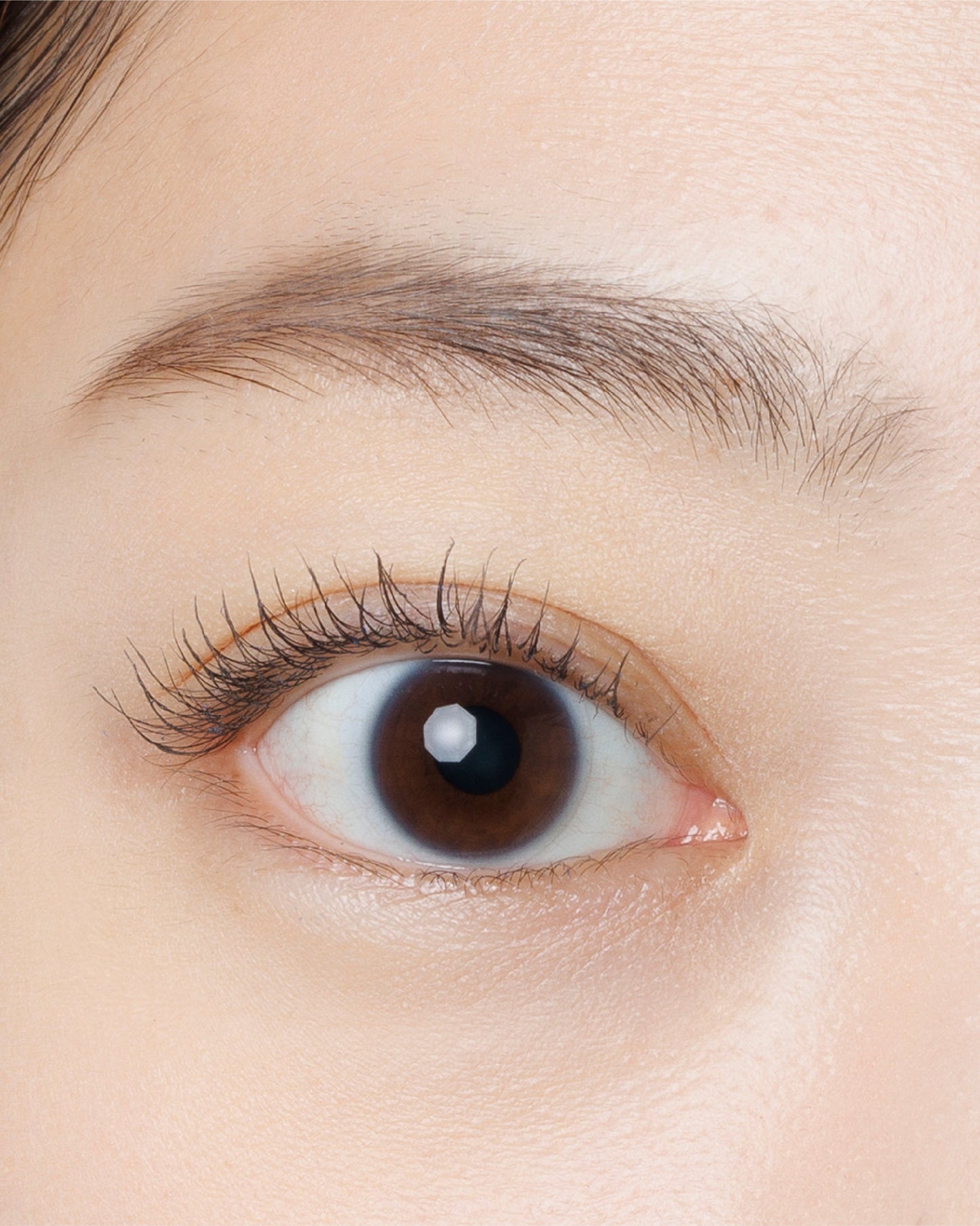 DIDION// Mascara 5色入