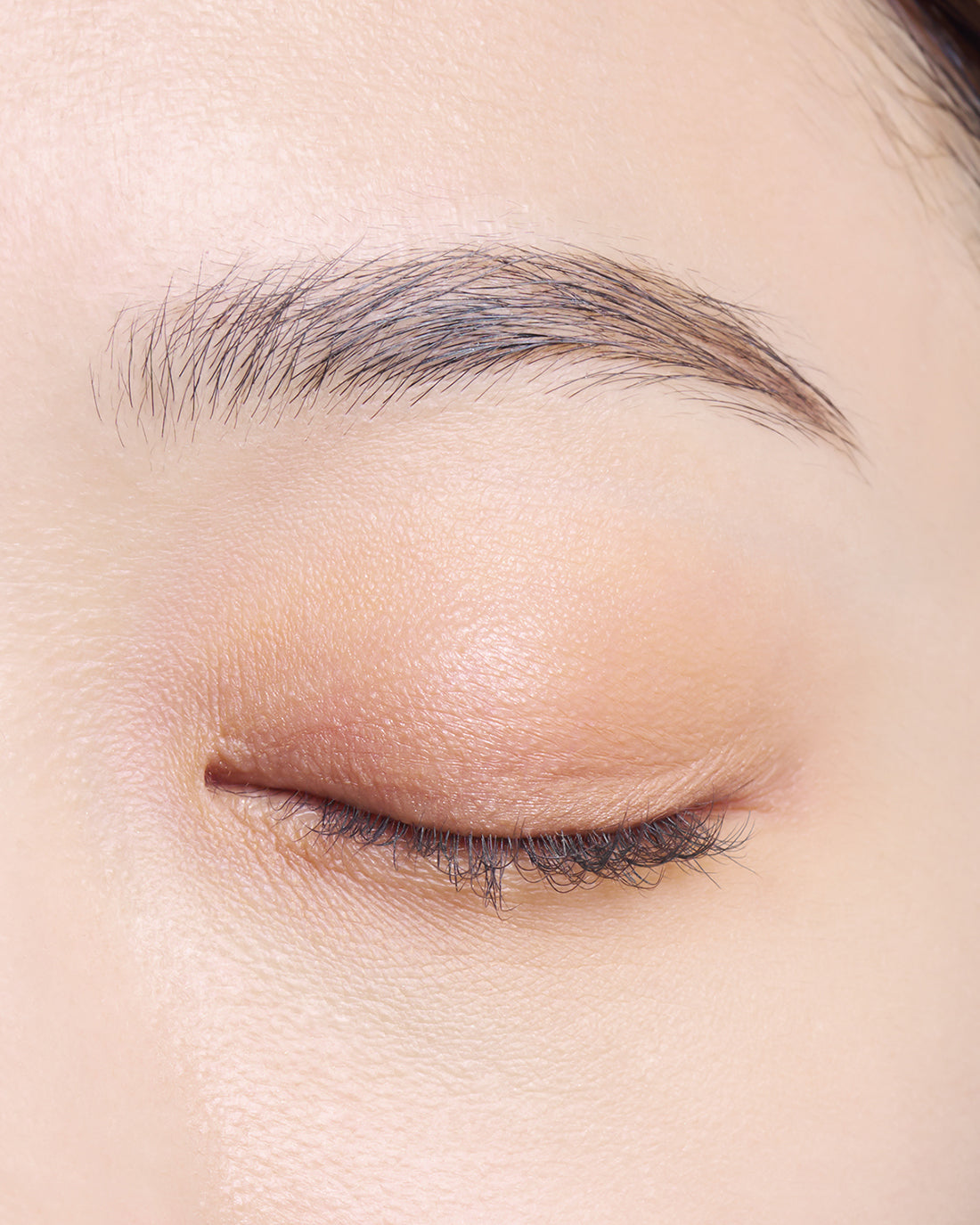 DIDION // 單色眼影 5色入