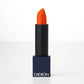 DIDION LIPSTICK