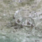 透明釘釘RING